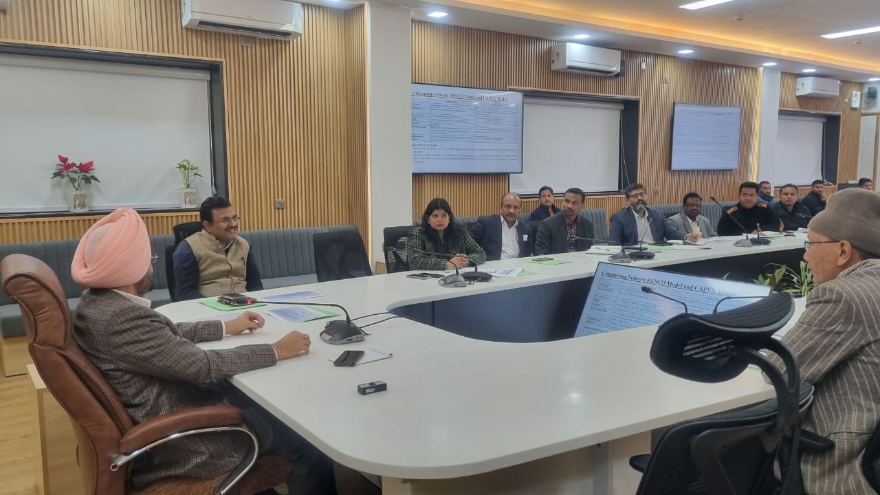 राज-काज: अब पिरूल (चीड़ की पत्ती) के विभिन्न उपयोगों पर होगा शोध, सचिवालय में आयोजित बैठक में मुख्य सचिव ने दिए निर्देश