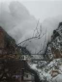 दहशत: मलारी में हिमस्खलन के बाद से आपदा विभाग अलर्ट, नुकसान की अभी कोई सूचना नहीं