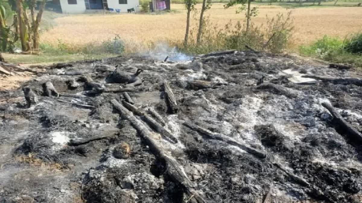 दर्दनाक: आग लगने से किसान की झोपड़ी खाक,चपेट में आए मवेशी