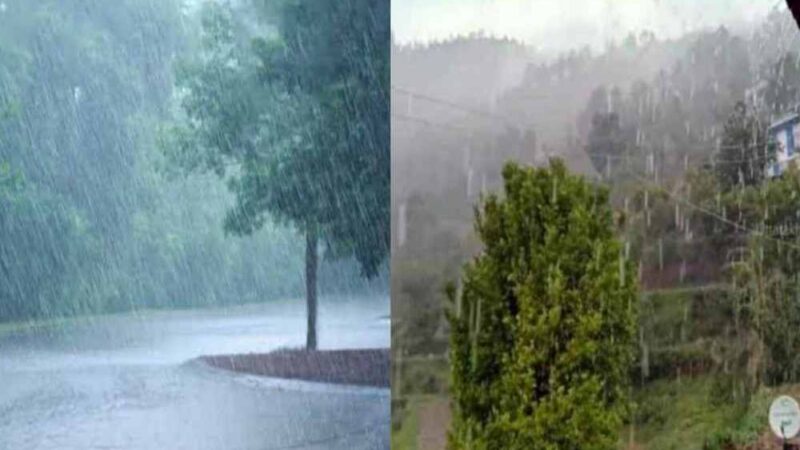 मौसम: पानी की बौछारों से प्रदेशवासियों को मिली राहत, मौसम विभाग ने जारी किया पूर्वानुमान