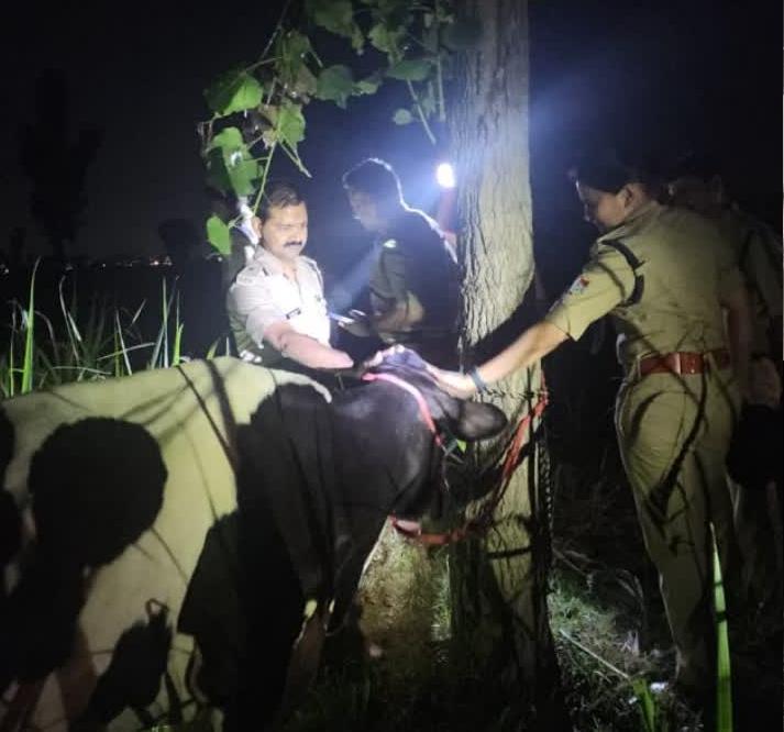 दुस्साहस: गौ तस्करों से देर रात फिर हुई पुलिस की मुठभेड, पैर पर गोली लगने से एक बदमाश घायल