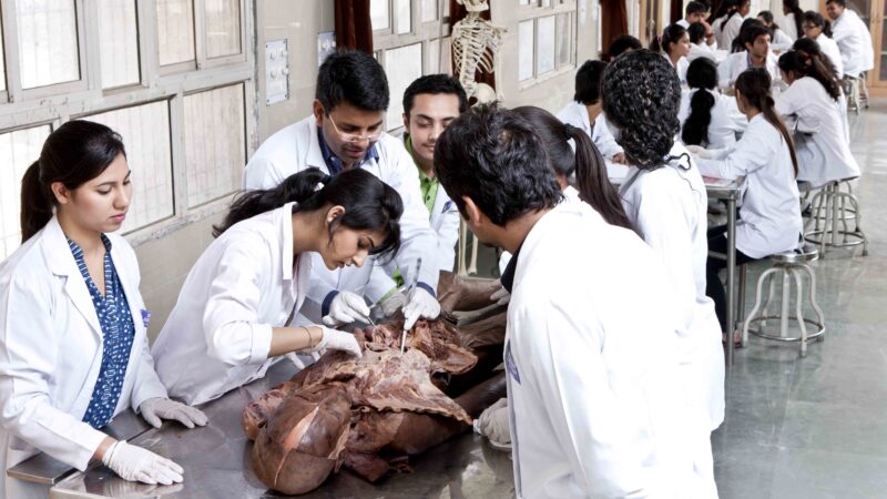 खास खबर: उत्तराखंड के मेडिकल छात्र लावारिस शवों पर करेंगे प्रैक्टिकल, सरकार बनाने जा रही नियमावली