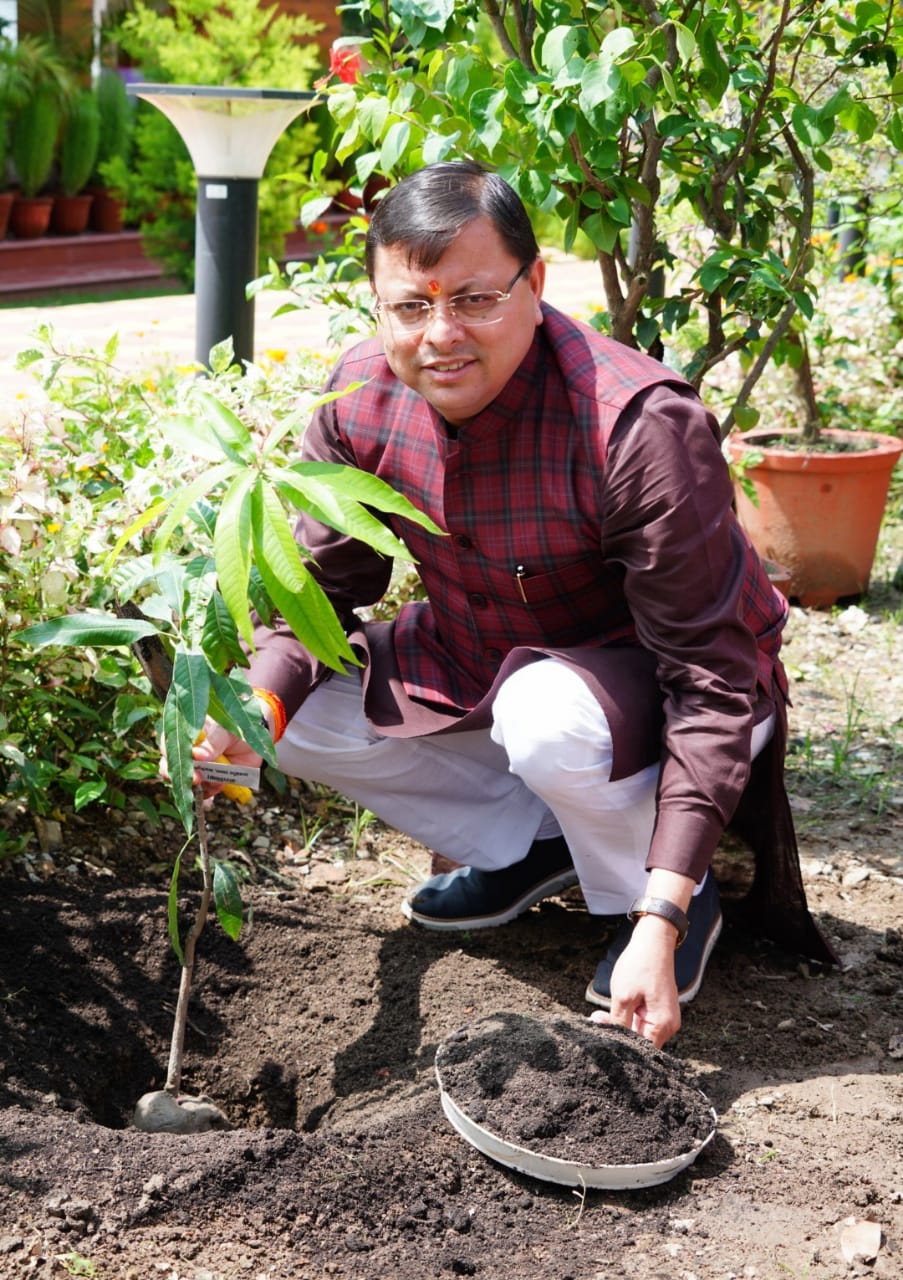 राज-काज: हरेला पर्व पर मुख्यमंत्री पुष्कर सिंह धामी ने सीएम आवास परिसर में किया वृक्षारोपण