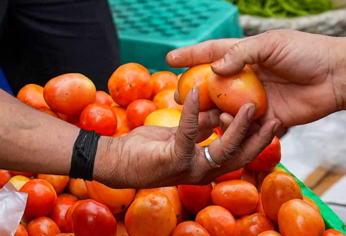 महंगाई: यहां टमाटरों के दामों में आया भारी उछाल, एक किलो का भाव दो सौ रुपए  के पार