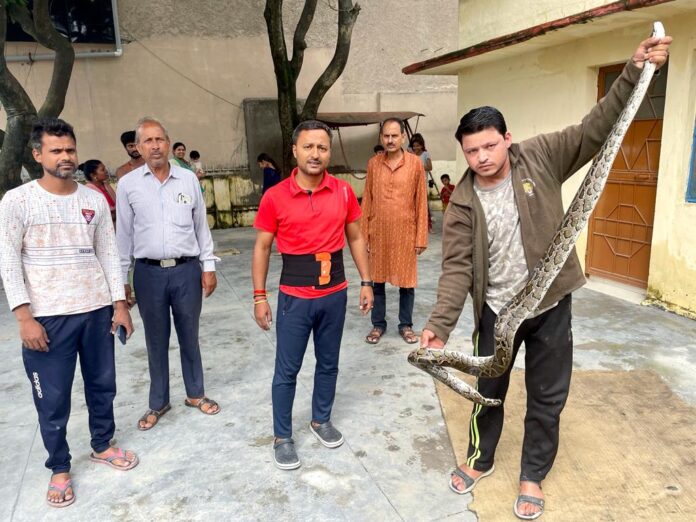 दहशत: घर में घुस आया अजगर तो मच गया हड़कंप, वन विभाग की टीम ने पकड़ कर जंगल में छोडा