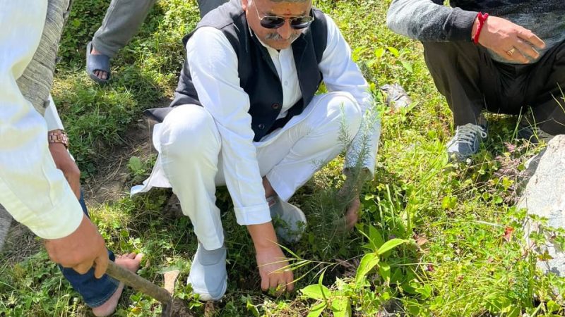 स्मरण: वृक्षारोपण कर मनायी गयी पूर्व प्रधानमंत्री राजीव गांधी की जयंती, विभिन्न संगठनों ने की भागीदारी