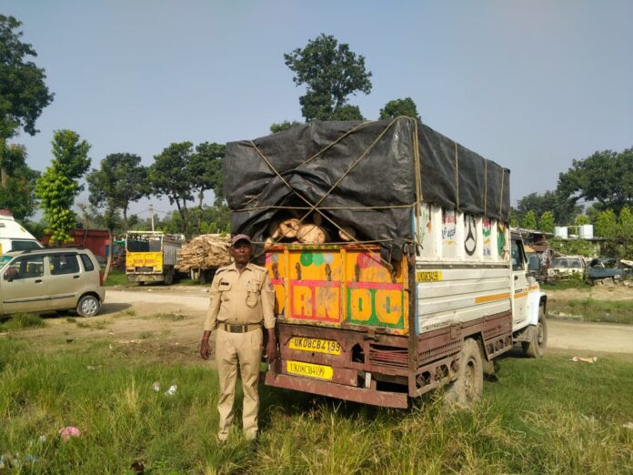शिकंजा: वाहन समेत पुलिस के हत्थे चढ़े दो लकड़ी तस्कर, पिकअप से 35 आम की डाटें बरामद