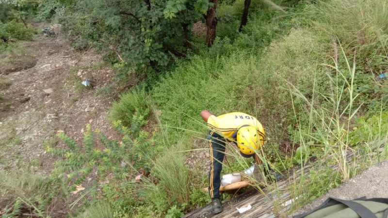 हादसा: तोताघाटी के पास खाई में गिरा ट्रक, चालक की मौत