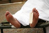 दुखद: सड़क हादसे में बाइक सवार युवक की मौत