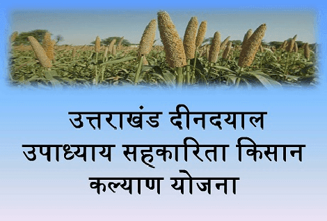 उत्तराखंड: किसानों का जीवन संवार रही है ‘दीनदयाल उपाध्याय सहकारिता किसान कल्याण योजना’