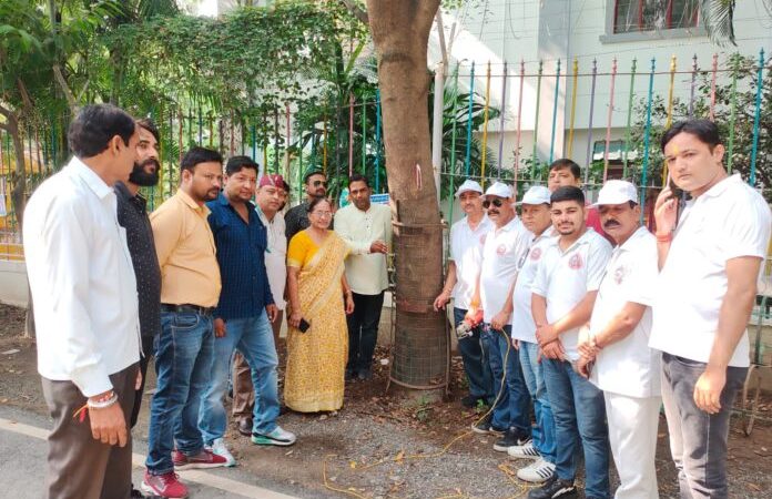 सराहनीय: पूरी तरह से बढ़ चुके पेड़ों से ट्री गार्ड्स हटाये, पेड़ों की आयु बढ़ेगी