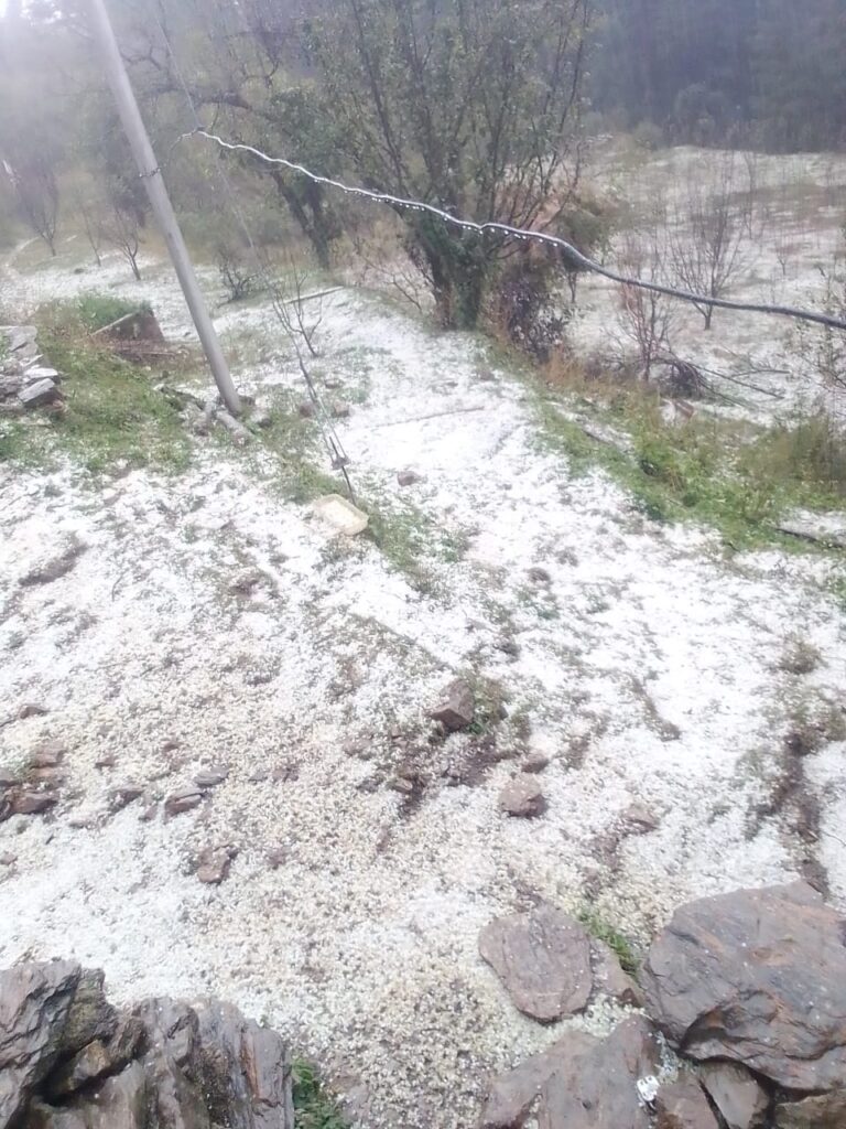 मिजाज: जौनसार क्षेत्र में मौसम ने ली करवट, ओलावृष्टि से फसलों को नुकसान