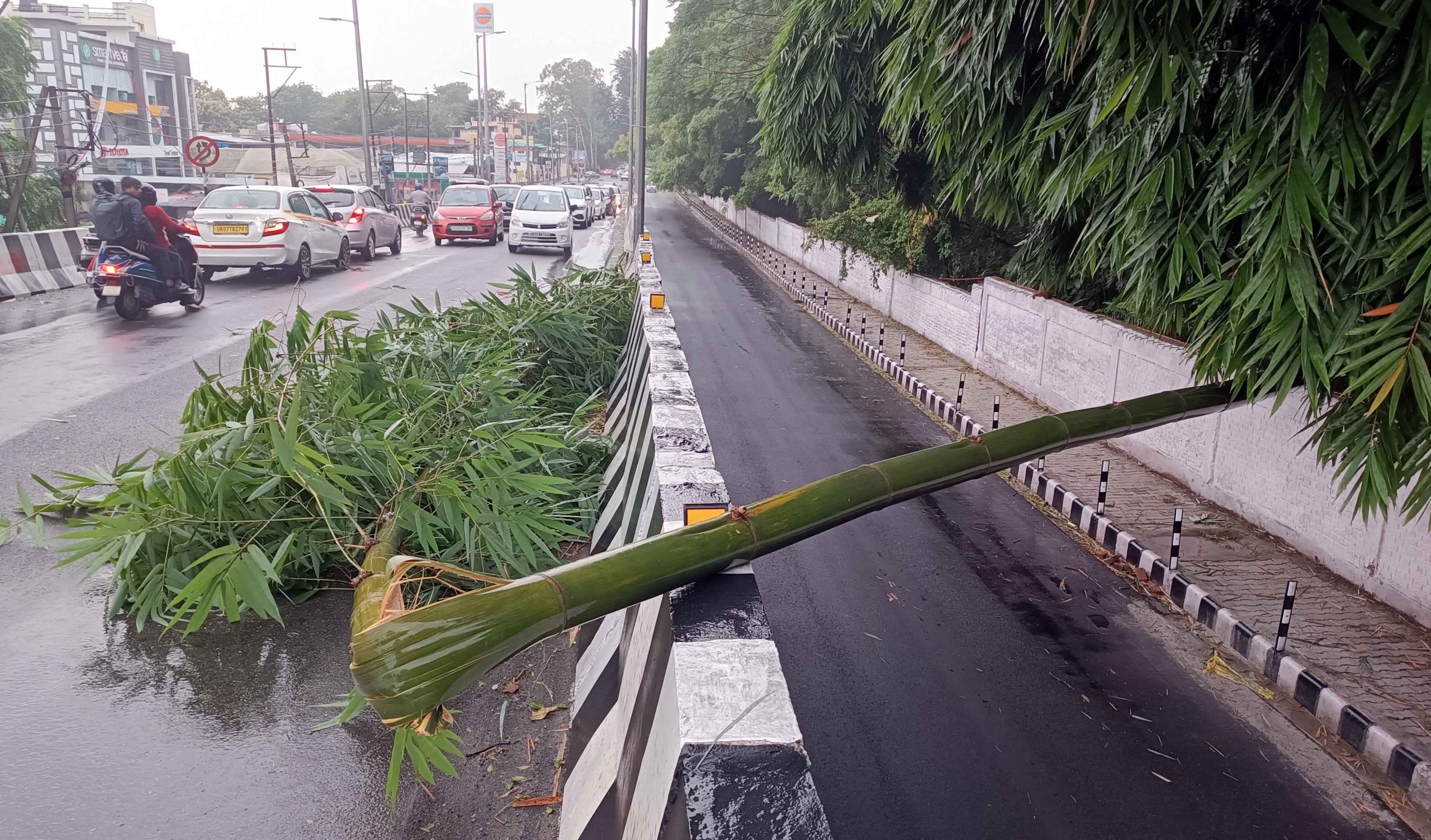 मौसम: झमाझम बारिश ने बढ़ायी ठंड, केदारनाथ, यमुनोत्री में हुई जम कर बर्फबारी