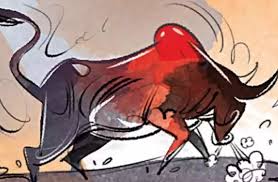 दर्दनाक: घर के गेट पर खड़े विक्रम सिंह डसीला के लिए यमदूत बना आवारा सांड, सींगों से पटककर ले ली जान