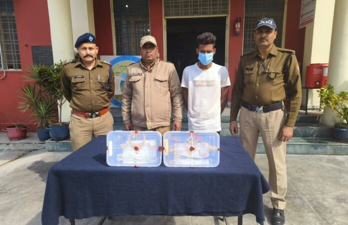 शिकंजा: चोरी के मामले में एक आरोपी धरा, एक की तलाश जारी