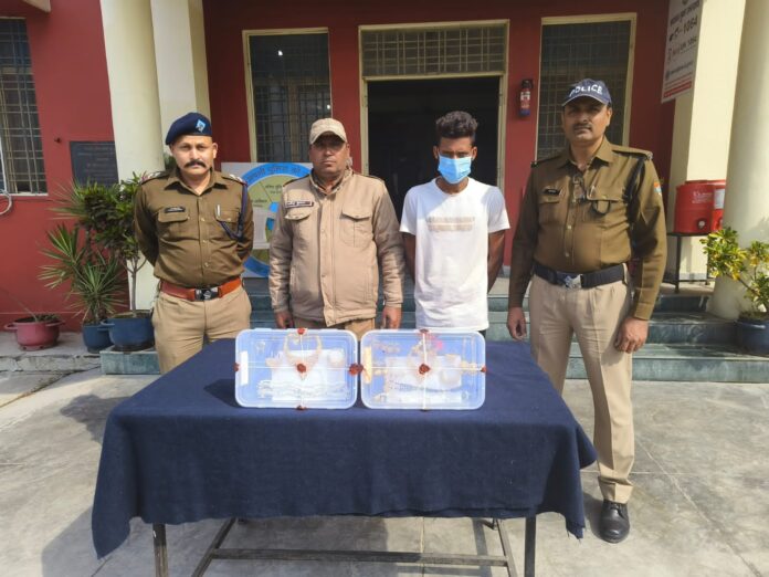 शिकंजा: चोरी के मामले में एक आरोपी धरा, एक की तलाश जारी