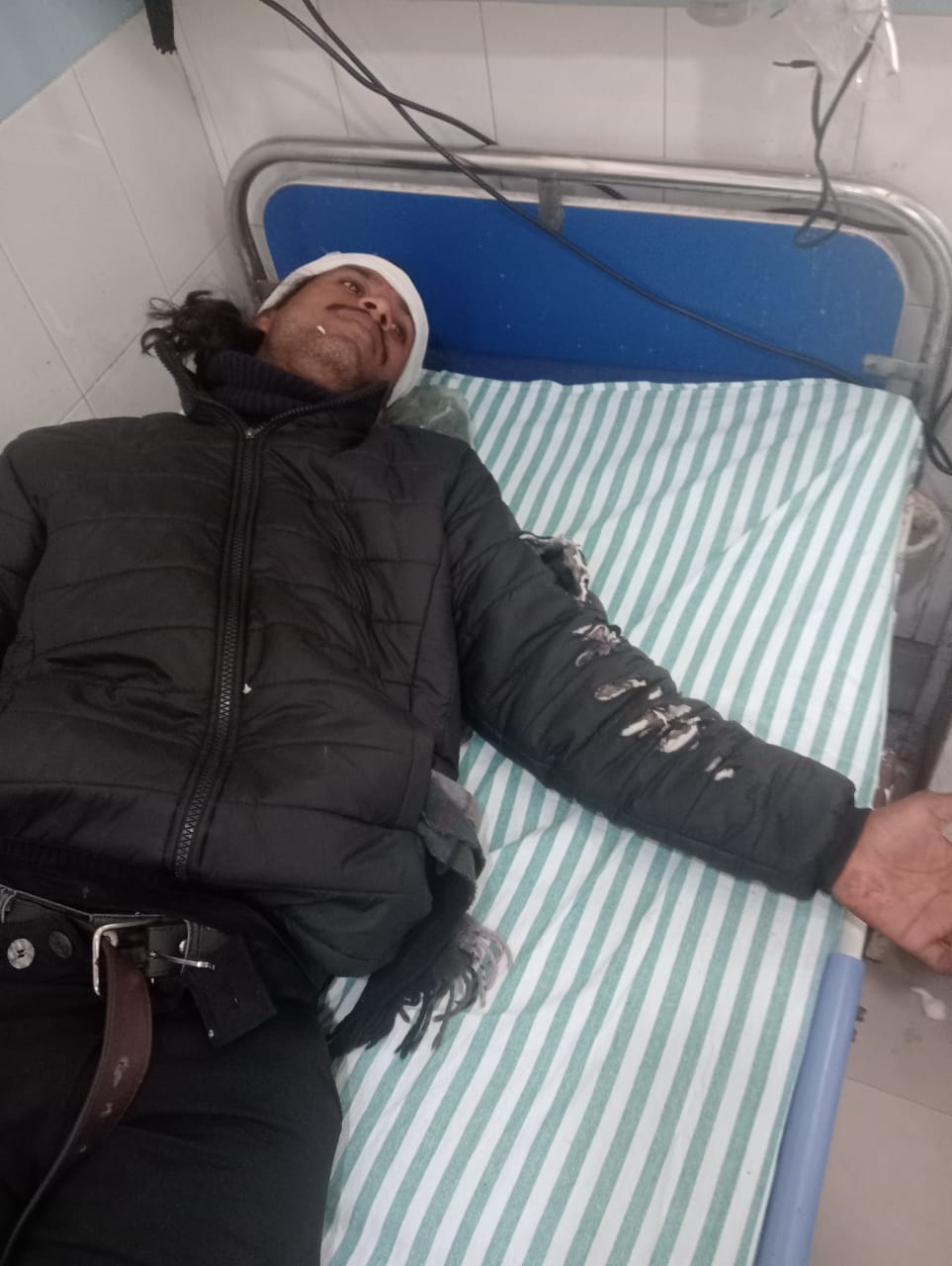 दहशत: बाइक सवार युवकों पर बाघ ने किया हमला, इलाके में छाया खौफ