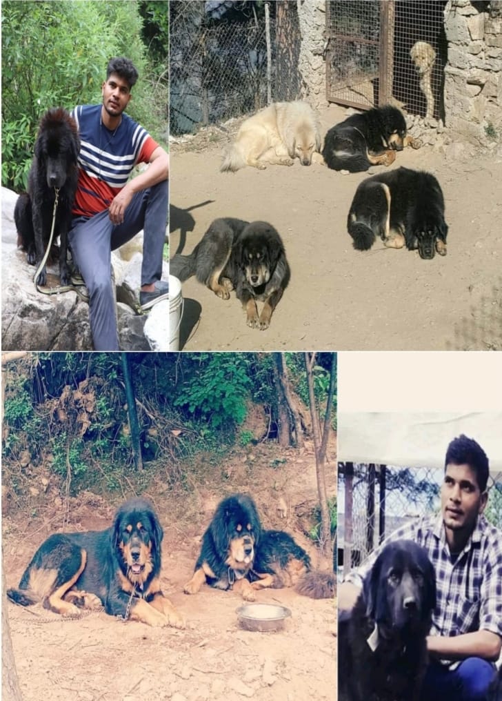 कामयाबी: जिला सहकारी बैंक से मिले तीन लाख रुपये के ऋण से अखिलेश के सपनों को लगे पंख
