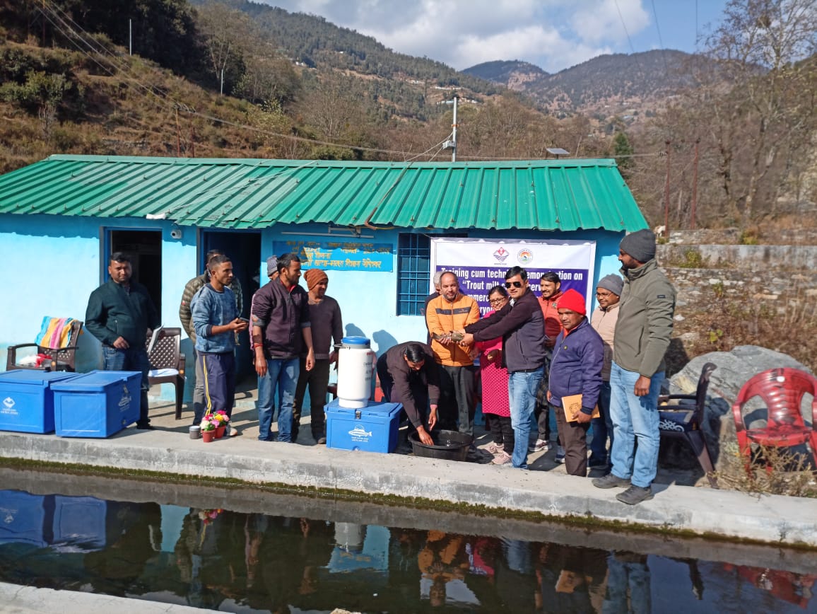 प्रयास: वैज्ञानिक व तकनीकी प्रशिक्षण से मछली प्रजनन में हो सकती है 30 प्रतिशत बढ़ोत्तरी