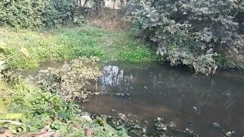 संदेहास्पद: हत्या के मामले में गवाह की संदिग्ध परिस्थितियों में डूबने से मौत, पुलिस में हड़कंप