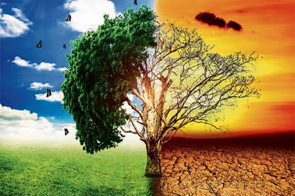 चिंताजनक: जलवायु परिवर्तन से सेहत पर पड़ रहा सीधा असर, वैज्ञाननिकों ने जताई चिंता