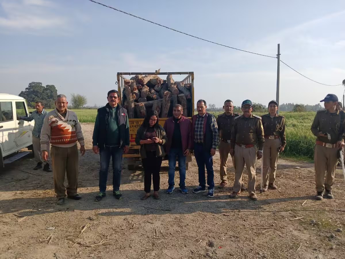 कामयाबी: वन विभाग की टीम ने एक घर पकड़ी 30 कुंतल खैर की अवैध लकड़ी