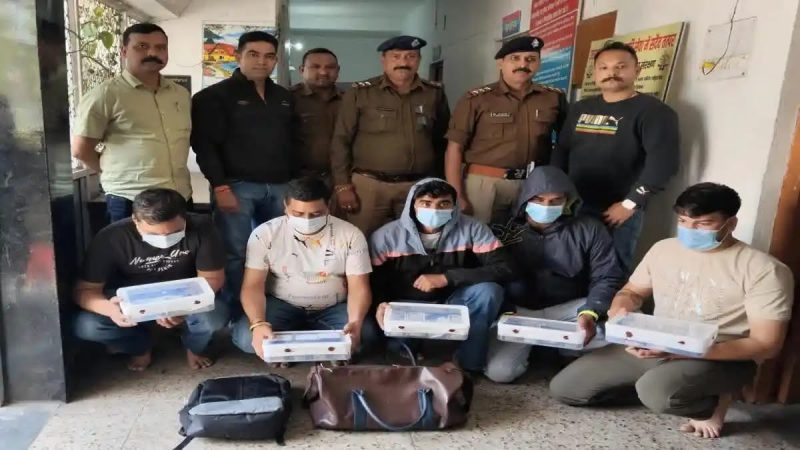 कामयाबी: पुलिस छापेमारी में सट्टाकिंग सहित पांच आरोपी गिरफ्तार, लाखों की नगदी बरामद
