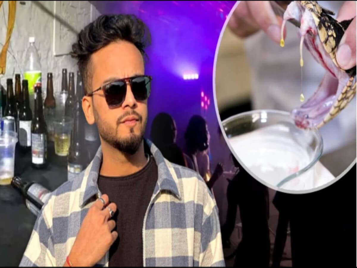 सबक: हाई सिक्योरिटी सेल में शिफ्ट हुआ एल्विश यादव, जल्द कई और लोगों की हो सकती है गिरफ्तारी