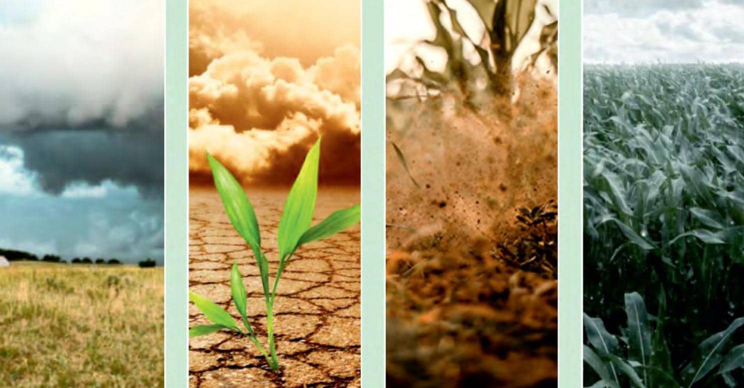 दुष्प्रभाव: जलवायु परिवर्तन की वजह से विभिन्न क्षेत्रों में महंगाई बढ़ने की आशंका