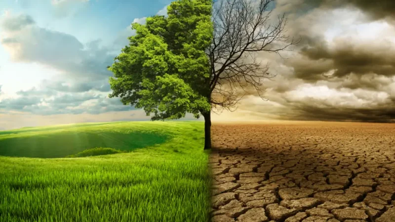 चिंताजनक: जलवायु परिवर्तन से टूट रही है सांसों की डोर