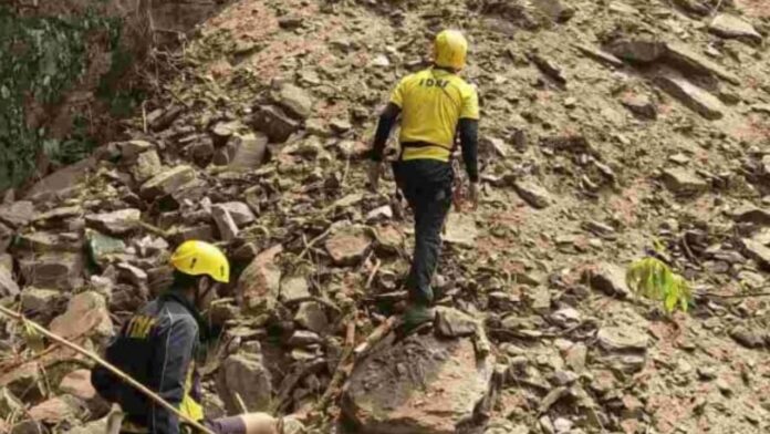 दुखद: पत्थर की चपेट में आने के बाद खाई में गिर जाने से चालक की मौत