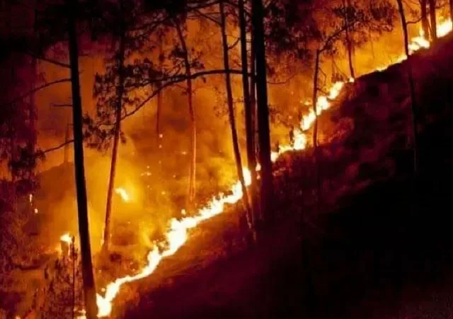 निगरानी: जंगलों में आग लगाने वाले अराजक तत्वों पर ड्रोन से नजर रखेगा वन विभाग