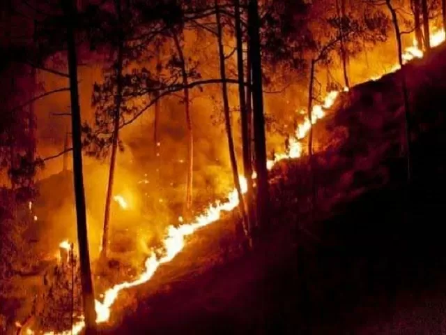 वनाग्नि: आग से धधक रहे हैं पहाड़ी जनपदों के जंगल, बुझाने में छूट रहे वन विभाग के पसीने