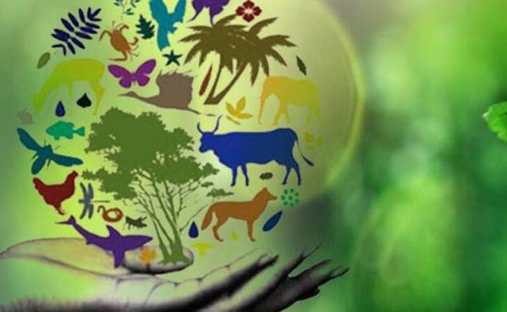 चिंताजनक: जैव विविधता पर मंडराते संकट का हल शीघ्र ढूंढ़ना होगा