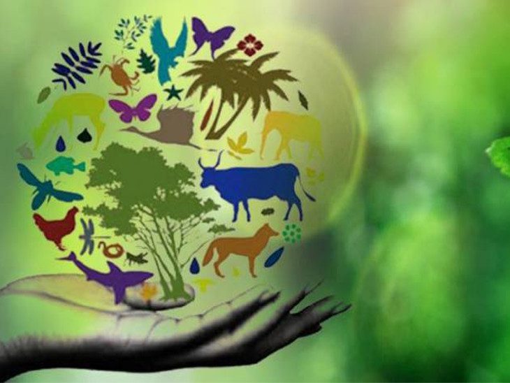 चिंताजनक: जैव विविधता पर मंडराते संकट का हल शीघ्र ढूंढ़ना होगा