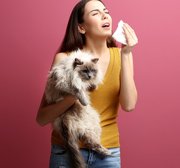 हैल्थ टिप्स: पालतू जानवरों से है एलर्जी? जानिए इसके इलाज के तरीके और अन्य जरूरी बातें…