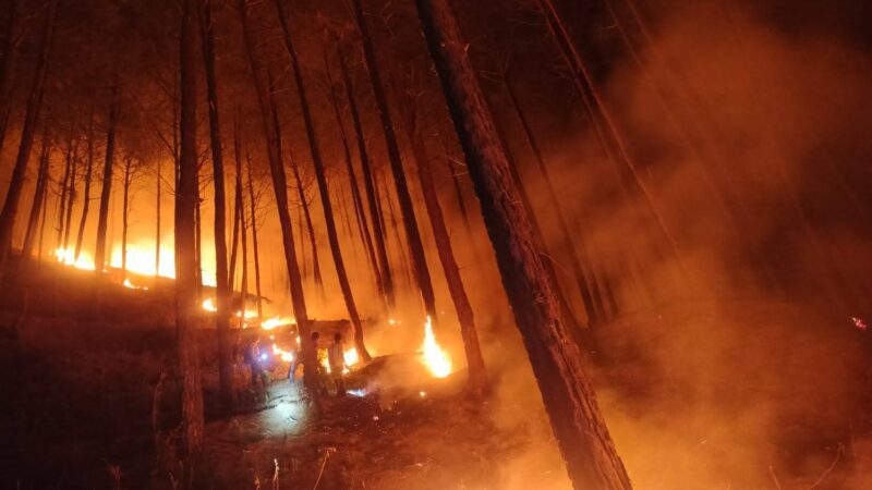 कामयाबी: वरुणावत व गोफियारा क्षेत्र में भड़की वनाग्नि, पूरी रात जारी रहा नियंत्रण अभियान