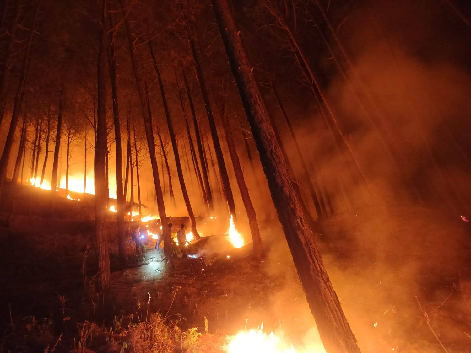 कामयाबी: वरुणावत व गोफियारा क्षेत्र में भड़की वनाग्नि, पूरी रात जारी रहा नियंत्रण अभियान