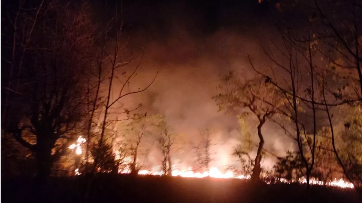 वनाग्नि: पारा चढ़़ने के साथ ही फिर सुलगने लगे जंगल, चिंताग्रस्त ग्रामीण खुद बचाव में जुटे