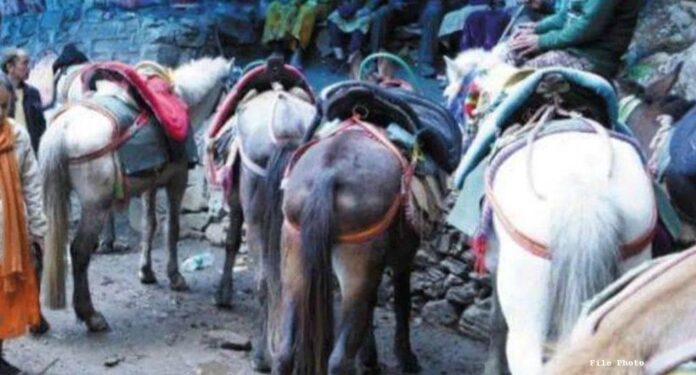 लापरवाही: जानकीचट्टी में करंट लगने से घोड़े की मौत पर घोड़ा-खच्चर संचालकों का हंगामा