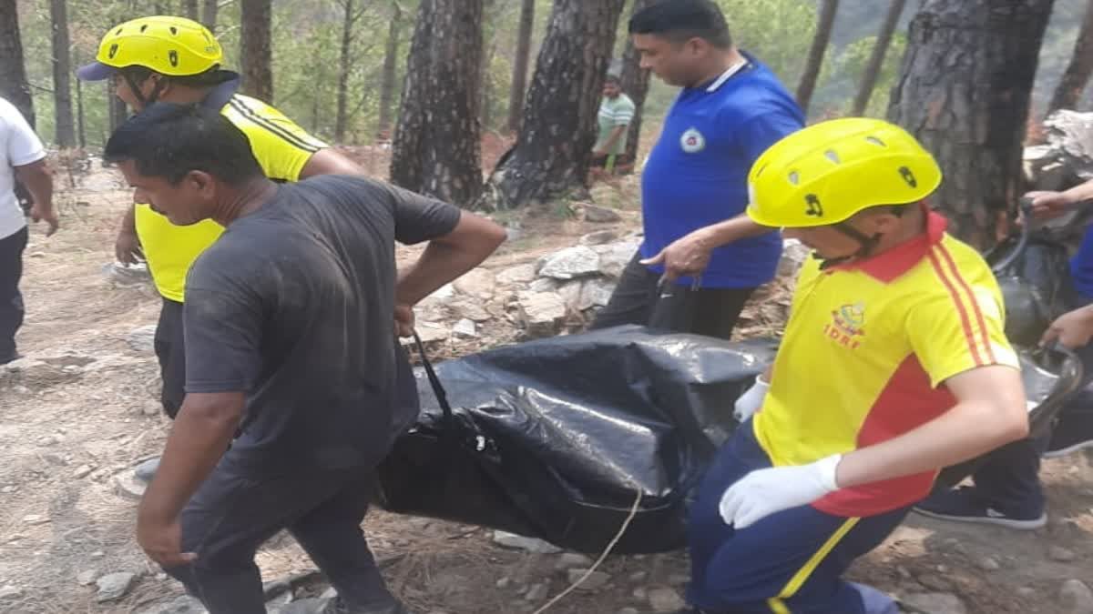 दर्दनाक: चारा काटने को पेड़ पर चढ़ी थी पूजा, हाईटेंशन लाइन की चपेट मेें आकर हो गई मौत