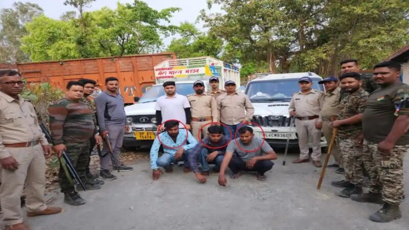 शिकंजा: बेशकीमती सागौन की लकड़ी की तस्करी में लिप्त तीन लोग गिरफ्तार