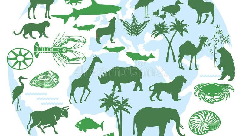 विमर्श: बेहद जरूरी है संकटग्रस्त जैव प्रजातियों का संरक्षण