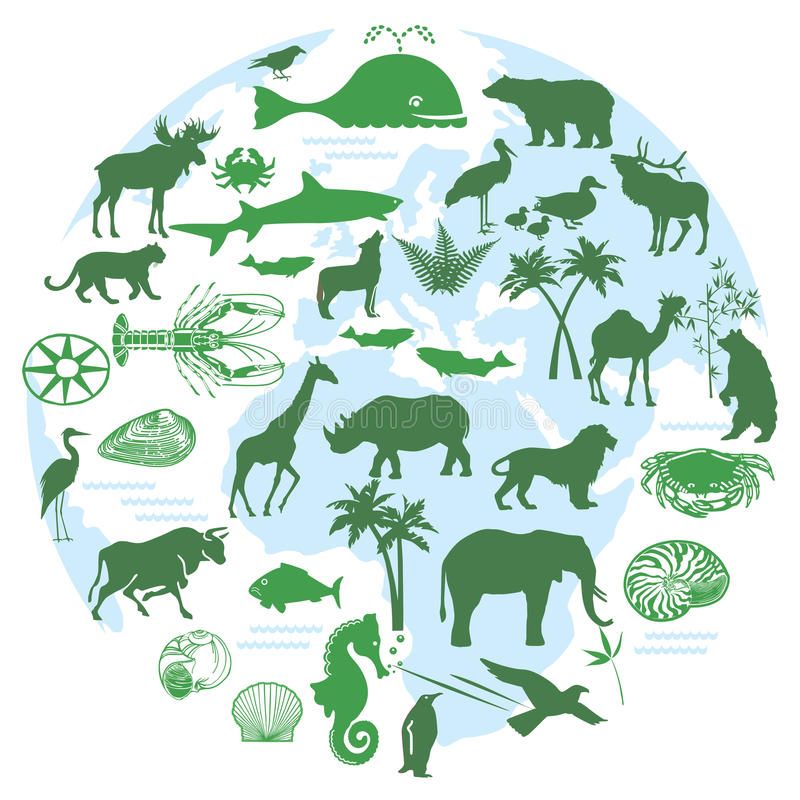 विमर्श: बेहद जरूरी है संकटग्रस्त जैव प्रजातियों का संरक्षण