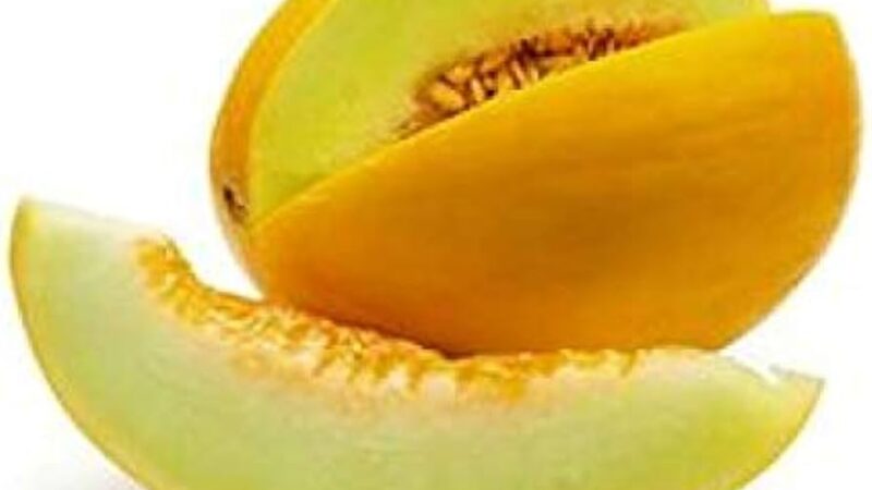 खान-पान: सरदा को डाइट में शामिल करने से मिल सकते हैं कई फायदे !