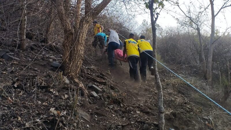 हादसा: अनियंत्रित होकर खाई में जा गिरी टाटा सूमो, दस लोग घायल