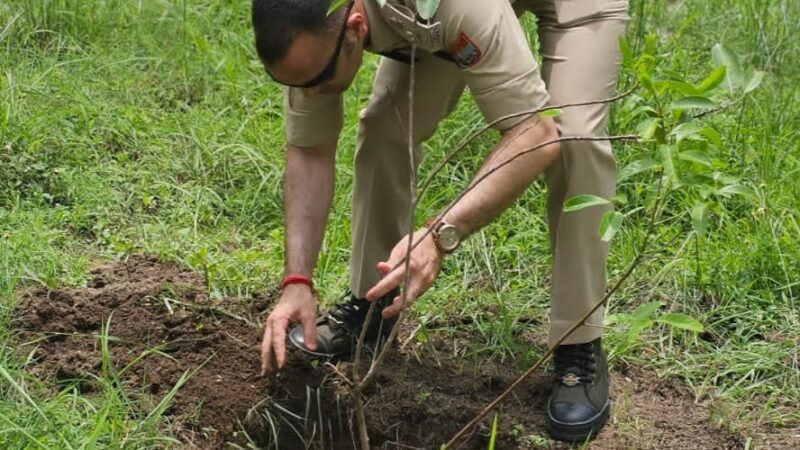 मुहिम: “एक पेड़ माँ के नाम” अभियान के तहत पौड़ी पुलिस ने किया वृक्षारोपण