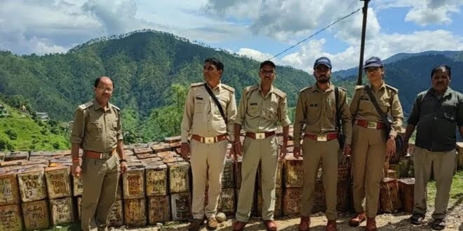 कामयाबी: वन विभाग की छापेमारी में लाखों का लीसा बरामद, अज्ञात के खिलाफ मुकदमा दर्ज