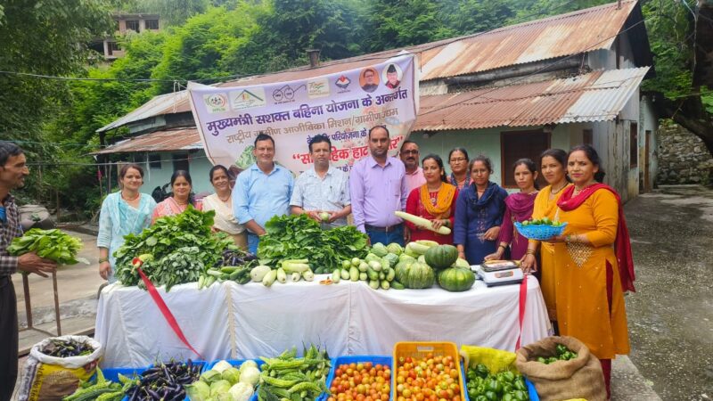 हौसला: उत्तरकाशी में साप्ताहिक हाट बाजार बना महिलाओं का आय का साधन
