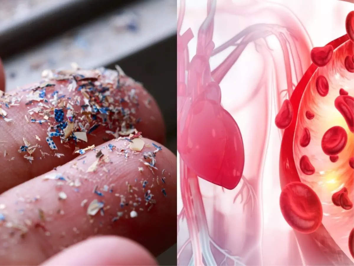 चिंताजनक: मिलावटी उत्पादों से सेहत पर दुष्प्रभाव ही पड़ेगा